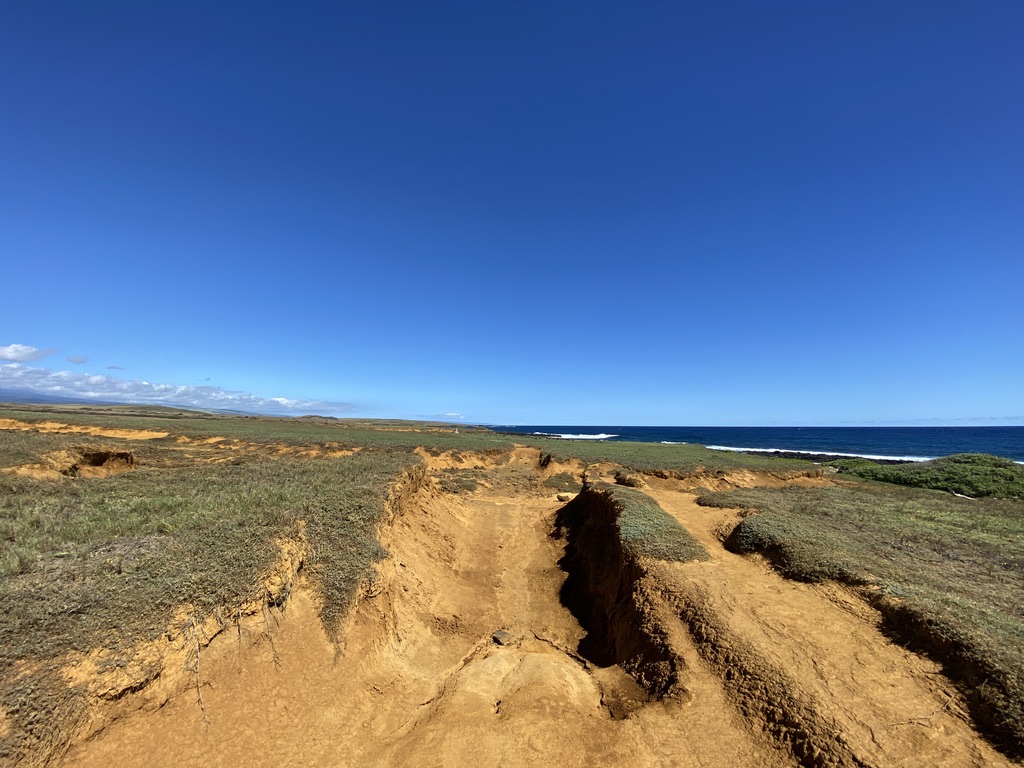 Starting the Day with&nbsp;Intention